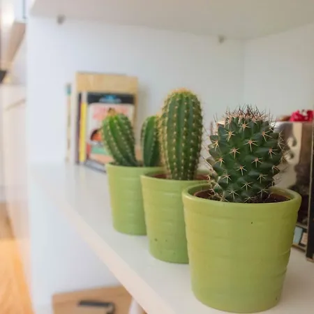 Bright Downtown Apartment *