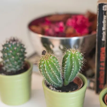 Apartment Bright Downtown Porto