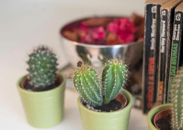 Apartament Bright Downtown Porto